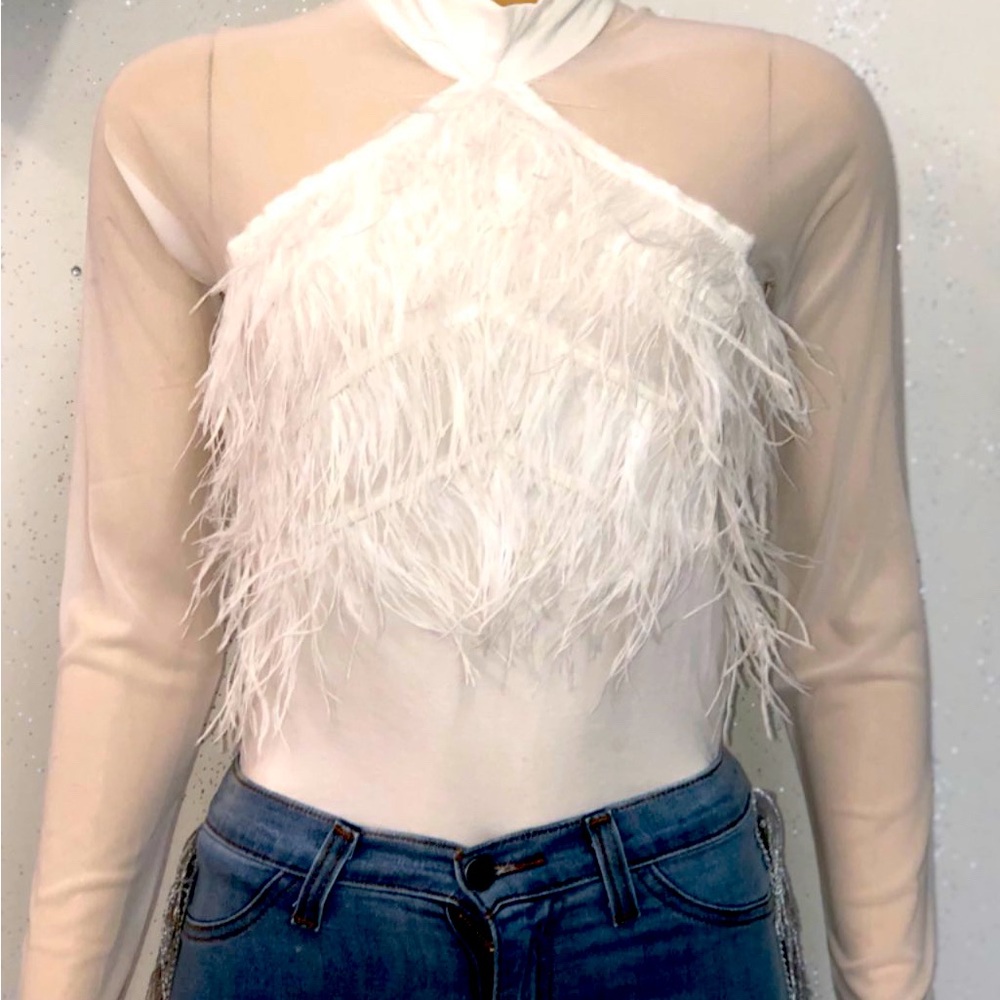 Gracia feathered sheer blouse
